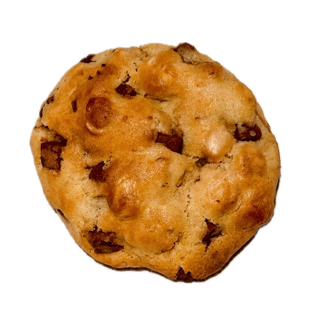 Motley’s Soft cookie Biscoff